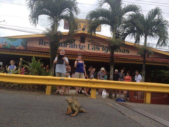 Restaurante Las Iguanas