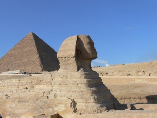 Sharm Friends Tours