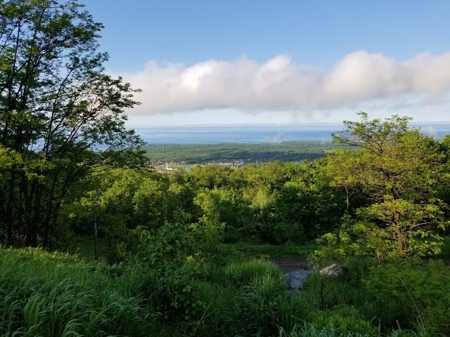 Bruce Trail Lookout